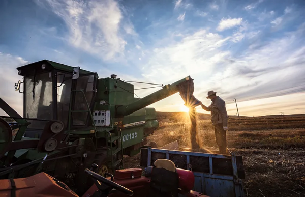 入展圖賞 |“美麗河北 豐蕪康寧”自然資源助力鄉村振興