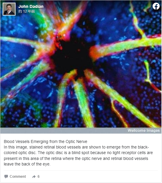 快來看看，我們的器官在顯微鏡下看起來是什麼樣子？