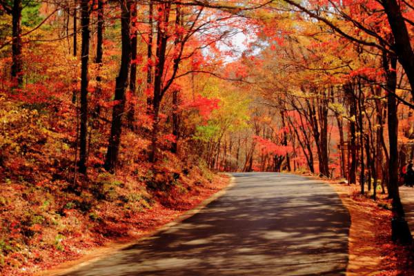 國慶賞秋該去哪?遼寧這6處景點千萬不能錯過,個個不輸北京香山 國慶賞秋該去哪?遼寧這6處景點千萬不能錯過,個個不輸北京香山