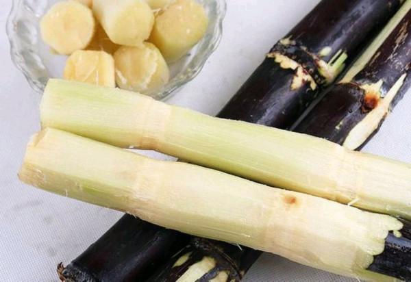 冬天到了，想要舒服過多，記得多吃“六寶”，味道鮮美，補充營養