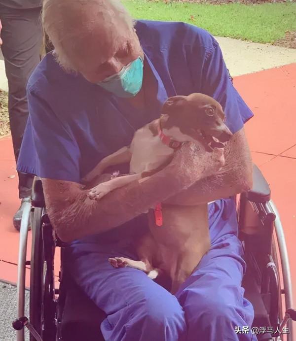 獨居老人突然中風,吉娃娃模仿倒下動作,竟救了他一命... 獨居老人突然中風,吉娃娃模仿倒下動作,竟救了他一命...