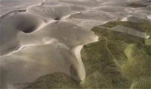 馬雲斥巨資在沙漠裡種的樹，如今成啥樣了？