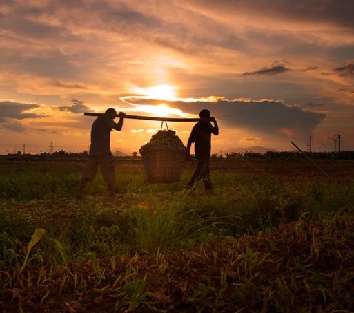 13年前，河南農村小夥迎娶日本市長的女兒，如今過得怎麼樣？