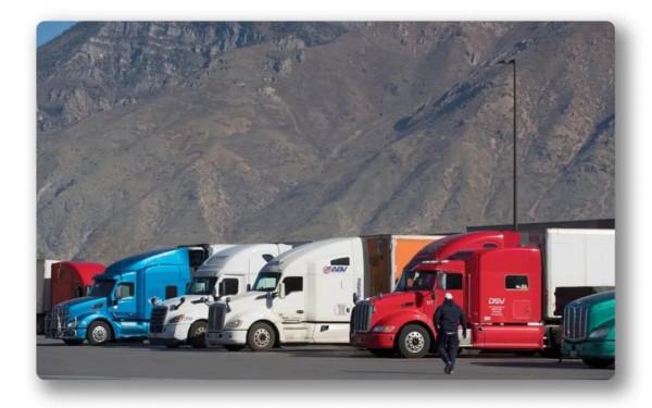 「深譚」這個節過得有點“冷”:來自美國15個家庭的調查 「深譚」這個節過得有點“冷”:來自美國15個家庭的調查