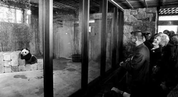 1972年,周恩來送尼克松夫人一盒香菸,接著說一番話讓她激動不已 1972年,周恩來送尼克松夫人一盒香菸,接著說一番話讓她激動不已