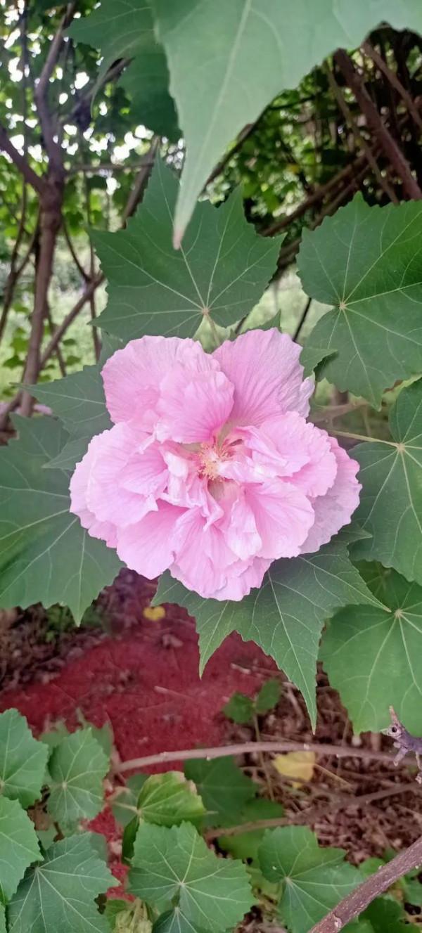 旅行，風景很美，