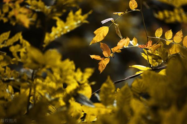 那些一眼驚鴻的句子 那些一眼驚鴻的句子