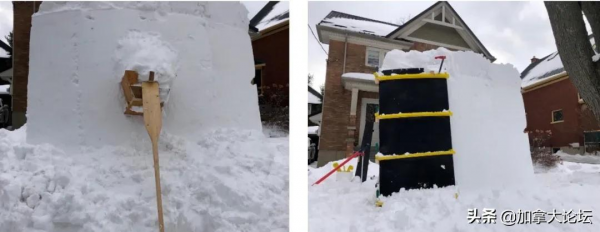 膜拜！安省男子家門口堆精美的雪獅冰雕讓眾人歎為觀止