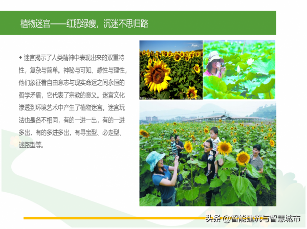 休閒農業觀光旅遊專案解決方案