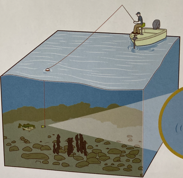冬天河流野釣技巧,如何選擇釣點 冬天河流野釣技巧,如何選擇釣點