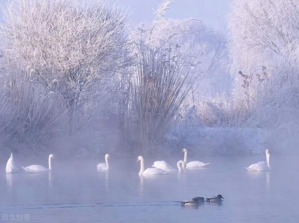 12月去哪玩?這8個美如畫卷的小眾打卡地,一到冬天就美成了仙境 12月去哪玩?這8個美如畫卷的小眾打卡地,一到冬天就美成了仙境