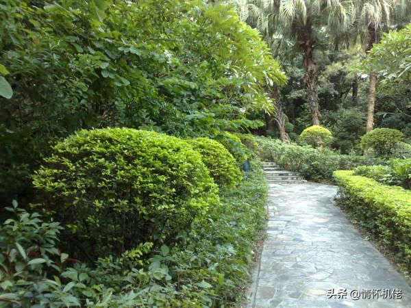 回顧諾基亞N95:當年高貴的機皇 回顧諾基亞N95:當年高貴的機皇