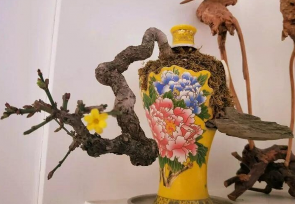 大爺不抽菸不喝酒，就愛撿酒瓶種花，養養就成傳家寶