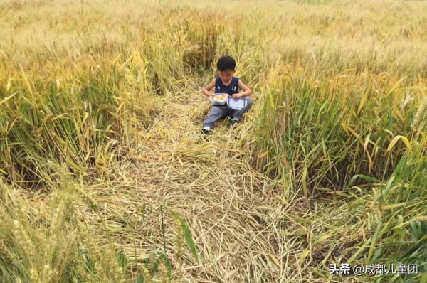 為孩子構建另一種審美可能性，她帶著娃去山裡“走野路”