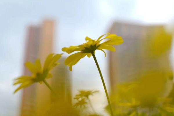 一年四季，這些“絕美”的瞬間你見到了嗎？