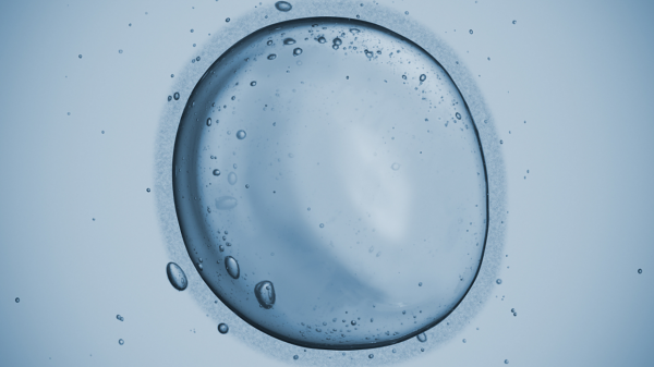 高血壓、心血管病、糖尿病,醫生提醒:長胖才是萬病之源? 高血壓、心血管病、糖尿病,醫生提醒:長胖才是萬病之源?