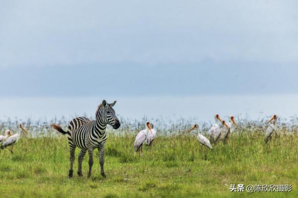 那庫魯保護區,成全你的瀟灑與冒險 那庫魯保護區,成全你的瀟灑與冒險