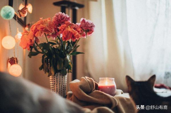 有今生，沒來世，人生皆是一場夢