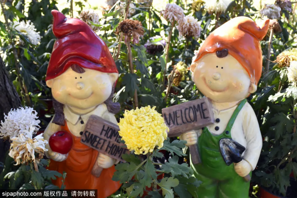 美爆了！這個寶藏公園藏著一大片花海，還有紅葉、銀杏！