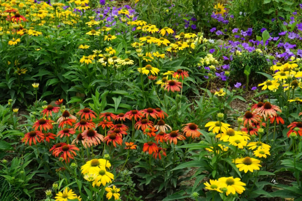 京城這個爆火的4A級景區，你打卡了嗎？快收下這份經典路線攻略，跟著走就行！