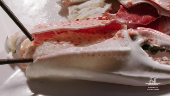 你從未聽說過的潮汕魚飯