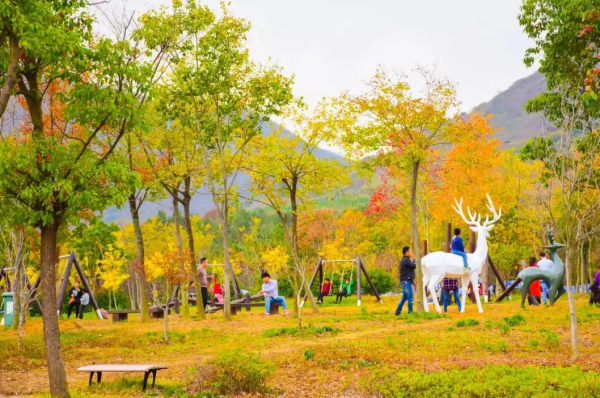 提前預熱第四波——半湯最美秋景 提前預熱第四波——半湯最美秋景