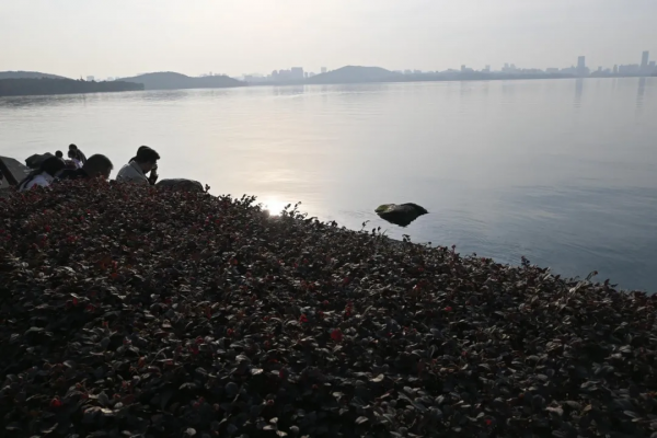 諾諾武漢站二週年小記——開二手夏朗遊東湖 諾諾武漢站二週年小記——開二手夏朗遊東湖