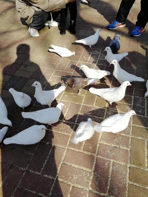 中山公園一日遊