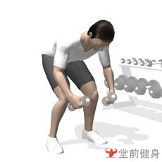 健身房一週4練健身計劃（初級）