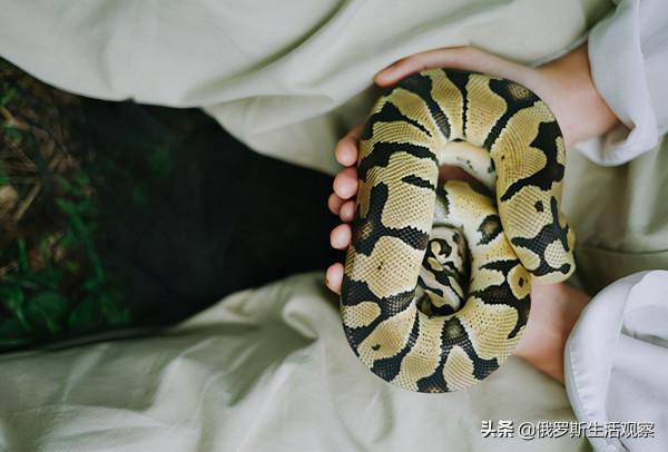 俄羅斯姑娘：為了愛情漂洋過海，為了生存當護工