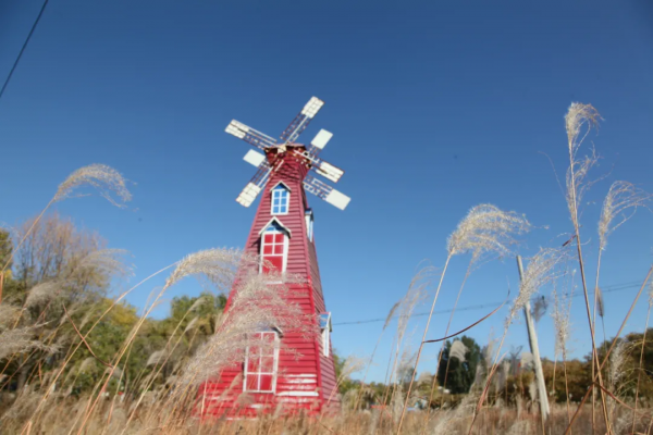 這裡的深秋，有色，有味……