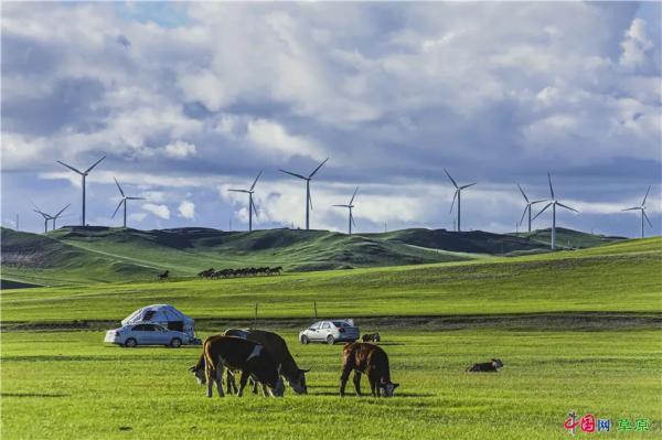 行攝草原丨盛夏走進清涼草原 感受悠閒夏日時光 行攝草原丨盛夏走進清涼草原 感受悠閒夏日時光