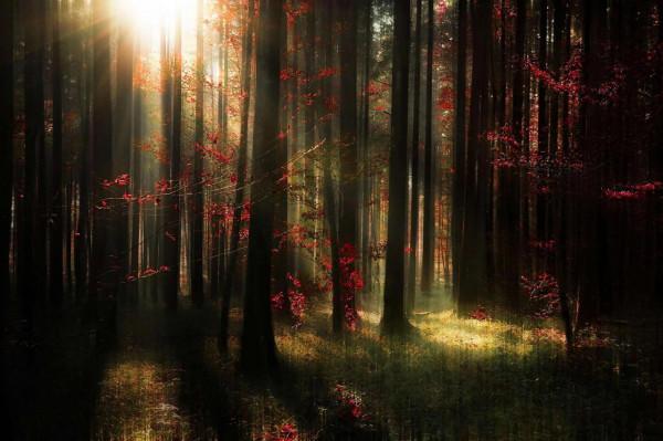 國家地理，每日精選