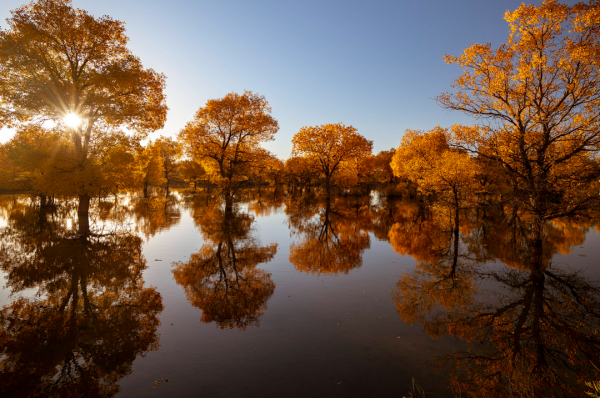 寧夏旅行|最火景點彙總 寧夏旅行|最火景點彙總