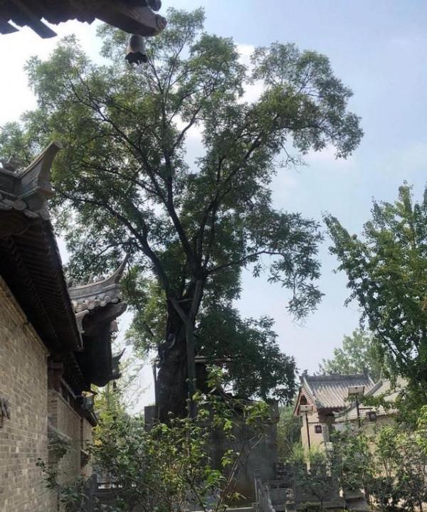 一個隱藏在嵩山腳下的古村落、迄今600多年終被人們發現!袁橋村 一個隱藏在嵩山腳下的古村落、迄今600多年終被人們發現!袁橋村