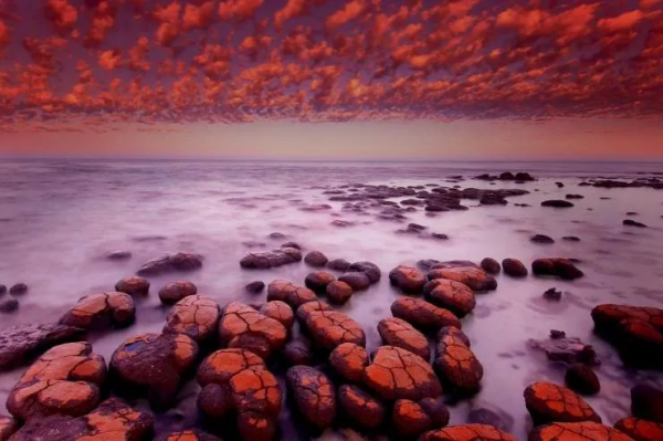 地球密碼揭密者：一塊石頭告訴你，生命大爆發之前，地球到底發生了什麼？