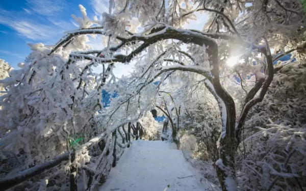 一下雪，國內這15個絕美旅行地，才是真正的人間仙境