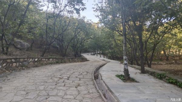 五百年盤龍古松.與秦Plus Dmi探訪千年幽幽古剎！