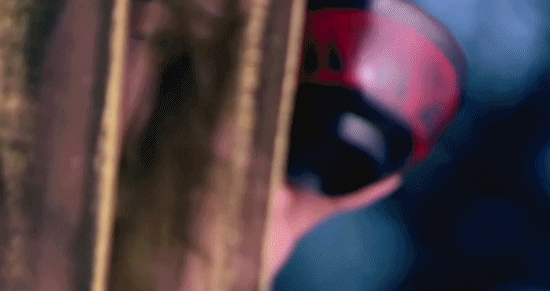 國產古裝劇,別再拿觀眾當傻子了 國產古裝劇,別再拿觀眾當傻子了