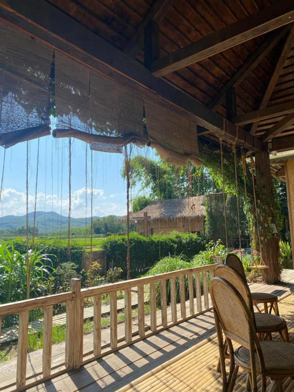 嚮往的生活5蘑菇屋現狀，圖書館被廢棄，屋裡一片狼藉，木屋發黴