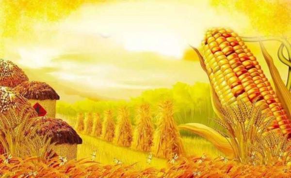 今年我國多地水患,通報卻稱十年中災情最輕,產糧也更多,咋回事 今年我國多地水患,通報卻稱十年中災情最輕,產糧也更多,咋回事