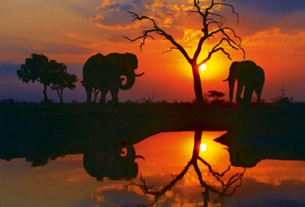 26張極致大片，尋找地球最美的角落