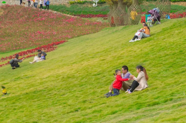 冬日暖陽，在昭化與你不期而遇