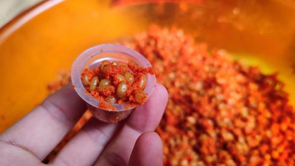 冬季野釣小魚鬧窩？不存在，我已研究出獨家配方，只取窩裡大鯽魚