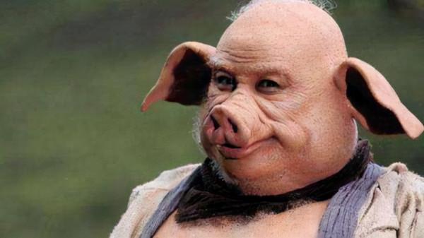 豬八戒兩度結婚,留下一個孩子,還子承父業 豬八戒兩度結婚,留下一個孩子,還子承父業