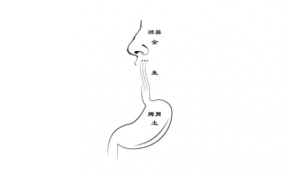 早春鼻炎反覆發作，不可盲目服用藥物，應從這兩個地方治療