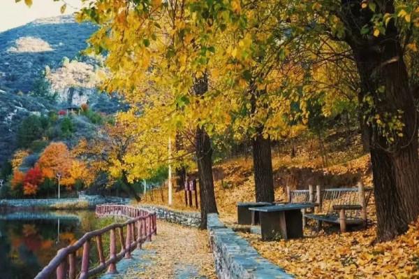 賞漫山彩葉,看雲騰山浮,房山最“紅”賞秋打卡地推薦,比香山更美!(上) 賞漫山彩葉,看雲騰山浮,房山最“紅”賞秋打卡地推薦,比香山更美!(上)