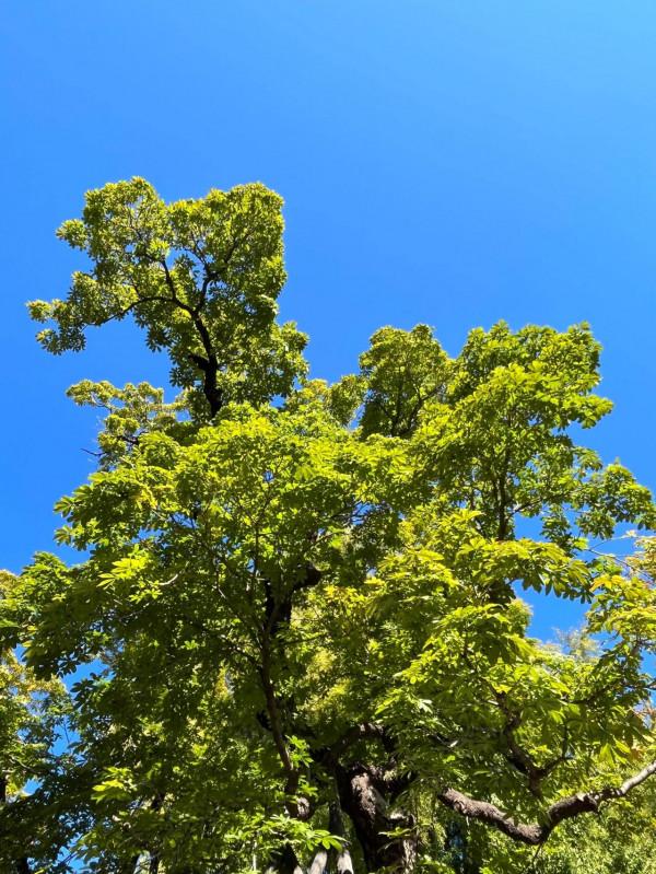 iPhone13用了一個多月,整體體驗:還是13香 iPhone13用了一個多月,整體體驗:還是13香