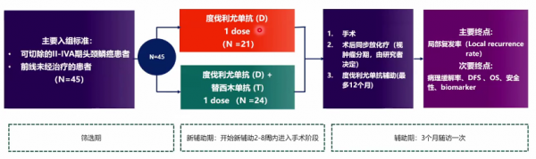 年終大盤點｜楊坤禹教授回顧頭頸腫瘤的臨床研究進展