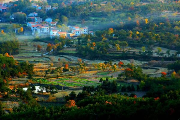 11月，看湖北，疊翠流金！